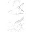 Pearl Satvario 80cm x 160cm Wall & Floor Tile