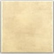 Plain Cream 15cm x 15cm Wall & Floor Tile