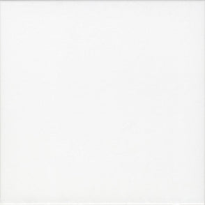 El Barco Plaka White 20cm x 20cm Wall and Floor Tile