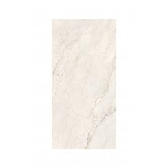 Premium Marble White 60cm x 120cm Wall and Floor Tile