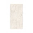 Premium Marble White 60cm x 120cm Wall and Floor Tile