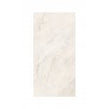 Premium Marble White 60cm x 120cm Wall and Floor Tile