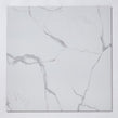 Premium Statuario 80cm x 80cm Wall and Floor Tile