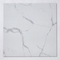 Premium Statuario 80cm x 80cm Wall and Floor Tile