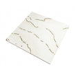 Prestige Bone Gold 60cm x 60cm Wall & Floor Tile