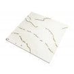 Prestige Bone Gold 60cm x 60cm Wall & Floor Tile