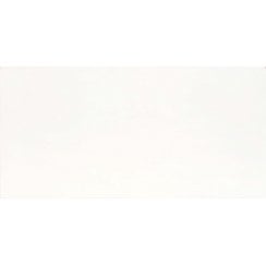 Pure White Matt 50cm x 101cm Wall & Floor Tile