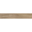 Rainforest Roble 15cm x 90cm Wall and Floor Tile