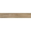 Rainforest Roble 15cm x 90cm Wall and Floor Tile