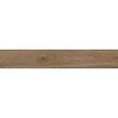 Rainforest Siena 15cm x 90cm Wall and Floor Tile