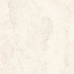 Rapolano Smooth Rustic Matt 120m x 120cm Floor Tile