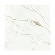 Ravenna Gold 60cm x 60cm Wall & Floor Tile