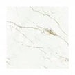 Ravenna Gold 60cm x 60cm Wall & Floor Tile