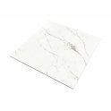 Ravenna Gold 60cm x 60cm Wall & Floor Tile