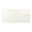 Ravenna Gold Linear Decor Brillo 30cm x 60cm Wall Tile