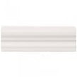 Retro Metro White 5cm x 15cm Dado Tile