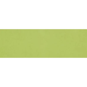 Rhian Verde Gloss 10cm x 30cm Wall Tile