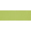 Rhian Verde Gloss 10cm x 30cm Wall Tile