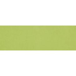 Rhian Verde Gloss 10cm x 30cm Wall Tile