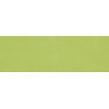 Rhian Verde Gloss 10cm x 30cm Wall Tile
