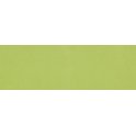 Rhian Verde Gloss 10cm x 30cm Wall Tile