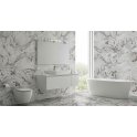Rich Blanco Marble-Effect 60cm x 120cm Wall and Floor Tile