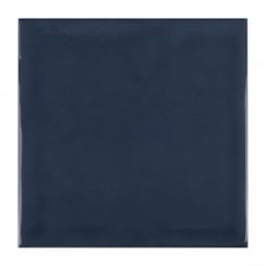 Rodin Ocean 15cm x 15cm Wall Tile