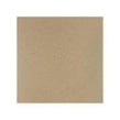 Salt and Pepper Beige 30cm x 30cm Wall and Floor Tile