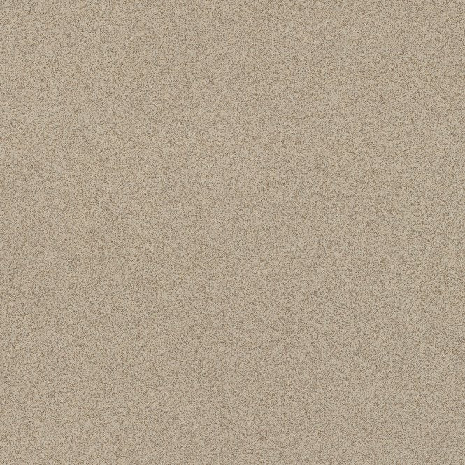 Salt and Pepper Cookie 60cm x 60cm Wall and Floor Tile