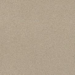 Salt and Pepper Cookie 60cm x 60cm Wall and Floor Tile