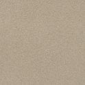 Salt and Pepper Cookie 60cm x 60cm Wall and Floor Tile