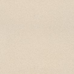 Salt and Pepper Cream 60cm x 60cm Wall and Floor Tile