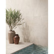 Sandstone Beige 60cm x 120cm 2cm Slab Tile