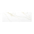 Satvario Gold 30cm x 90cm Rectified Wall Tile