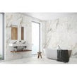 Serbia Gold 60cm x 120cm Wall & Floor Tile