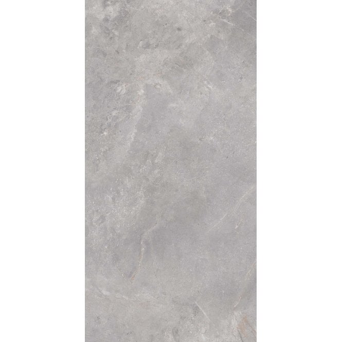 Serenity Silver Lux 60cm x 120cm Wall and Floor Tile