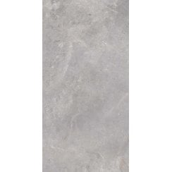 Serenity Silver Lux 60cm x 120cm Wall and Floor Tile