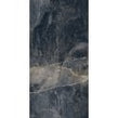 Shell Black 60cm x 120cm Wall and Floor Tile