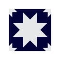 Siena Star Cobalt 20cm x 20cm Wall & Floor Tile