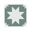 Siena Star Green 20cm x 20cm Wall & Floor Tile