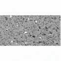 Silver Grey Quartz 30cm x 60cm Wall & Floor Tile