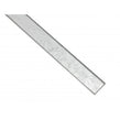 Silver Leaf 3cm x 60cm Wall Tile