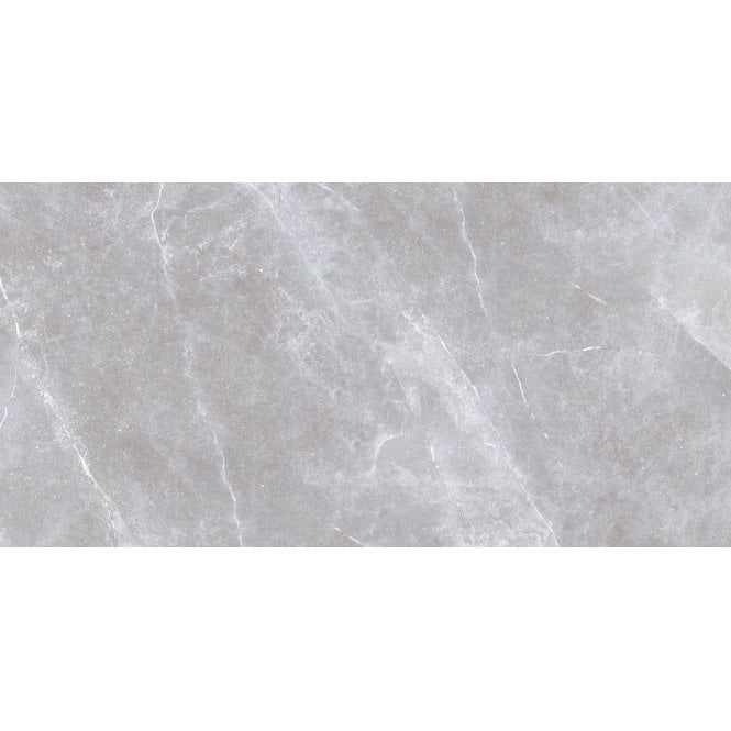 Space Stone Grey 30cm x 60cm Wall and Floor Tile