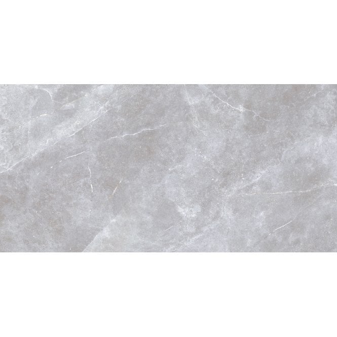 Space Stone Grey 30cm x 60cm Wall and Floor Tile