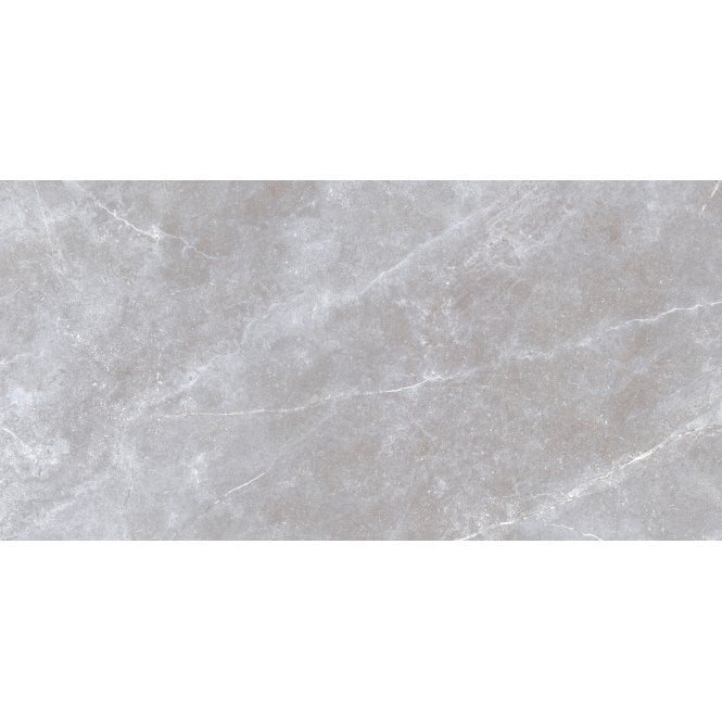 Space Stone Grey 30cm x 60cm Wall and Floor Tile