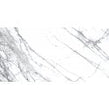 Spider Carrara Wall & Floor Tile 60cm x 120cm