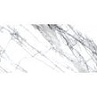 Spider Carrara Wall & Floor Tile 60cm x 120cm