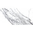 Spider Carrara Wall & Floor Tile 60cm x 120cm