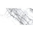 Spider Carrara Wall & Floor Tile 60cm x 120cm