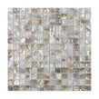 Square Mother Of Pearl Natural (2cm x 2cm) 30.5cm x 30.5cm Mosaic Tile